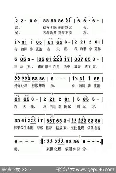 走天涯（老人适用） - 杨望|老猫