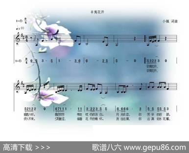 辛夷花开 - 小镇|小镇