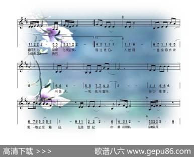 辛夷花开 - 小镇|小镇