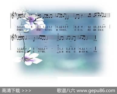辛夷花开 - 小镇|小镇
