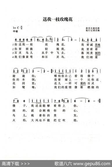 送我一支玫瑰花（老人适用） - 维吾尔族民歌