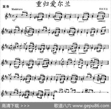 重归爱尔兰（重奏）