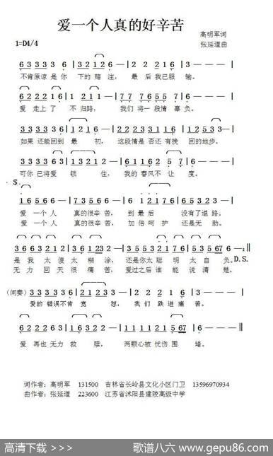 爱一个人真的很辛苦 - 高明军|张延道