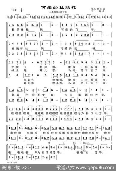 可爱的杜鹃花（二重唱或二部合唱） - 朱玛、凯传|王酩