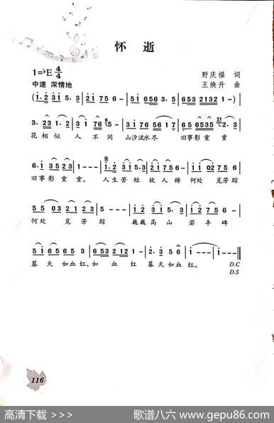 怀逝 - 野庆福|王焕升