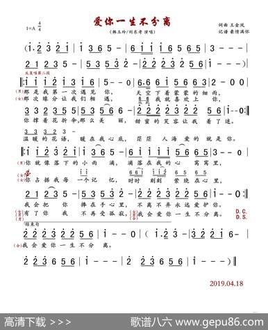 爱你一生不分离 - 王金凤|王金凤