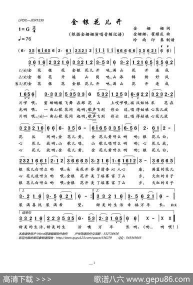 金银花儿开 - 金姗姗|金姗姗、翟耀庆