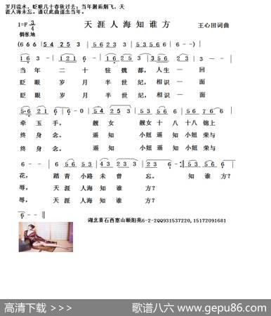 天涯人海知谁方 - 王心田|王心田