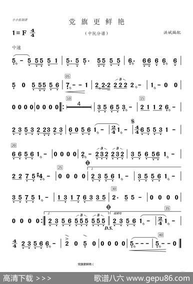 党旗更鲜艳（洪斌配器分谱）（小小张制谱）