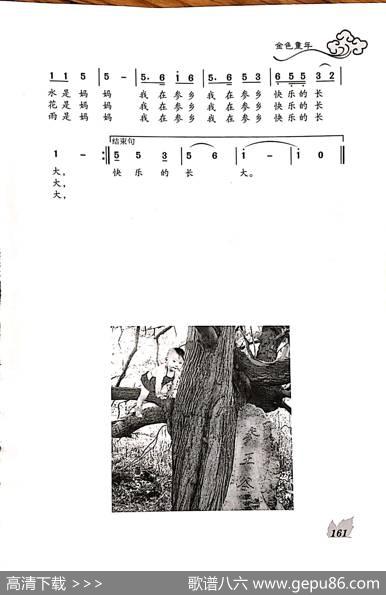 参娃 - 孙小轶|王焕升