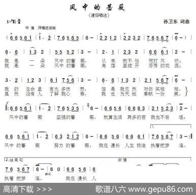 风中的蔷薇（孙卫东词曲） - 孙卫东|孙卫东