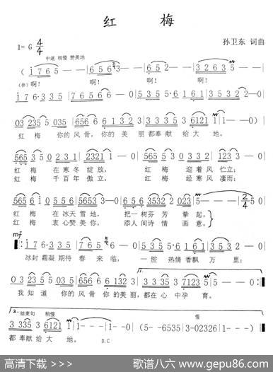 红梅（孙卫东词曲） - 孙卫东|孙卫东