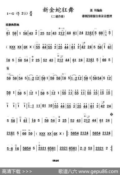 新金蛇狂舞（二胡齐奏谱）|王和声
