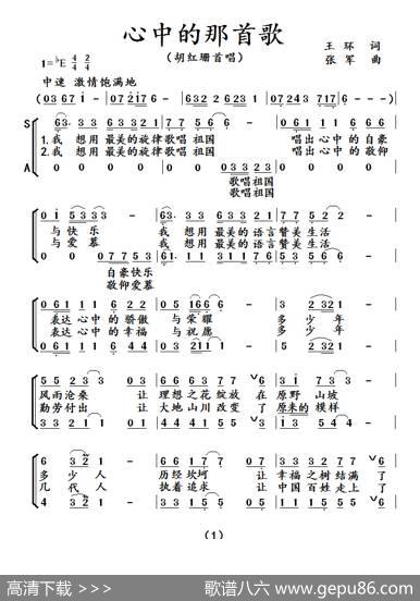 心中的那首歌（重新修改） - 王环|张军