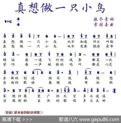 真想做一只小鸟 - 张冬青|李国喜