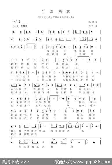 守望绽放 - 杨斌|肖矿