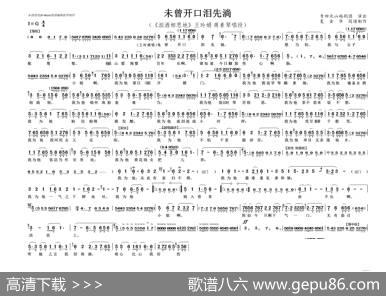 未曾开口泪先淌（泪洒相思地）