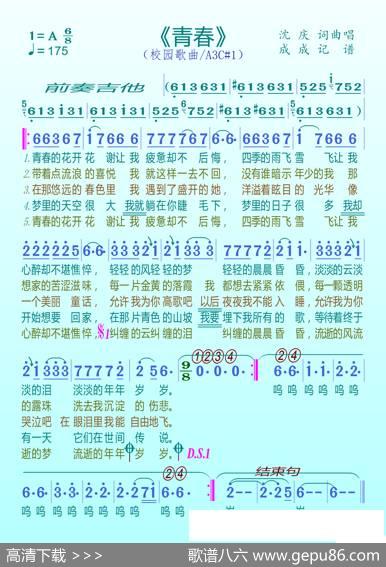青春（沈庆） - 沈庆|沈庆