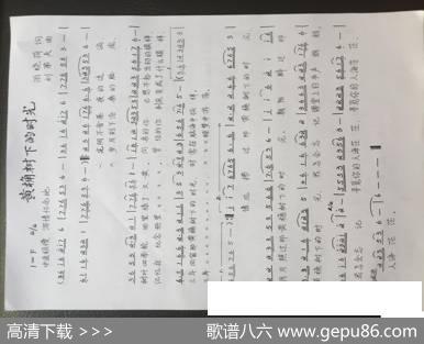 黄桷树下的时光 - 雨晓荷|刘第夫