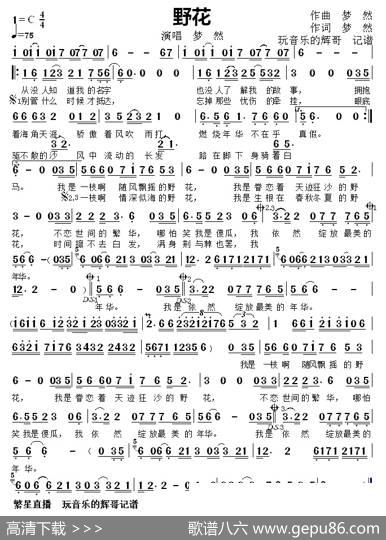 野花（演唱梦然） - 作词梦然|作曲梦然