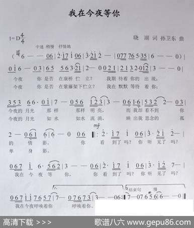我在今夜等你（晓胡词孙卫东曲） - 晓胡|孙卫东