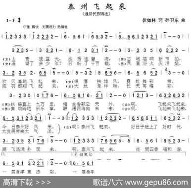 泰州飞起来（伏如林词孙卫东曲） - 伏如林|孙卫东