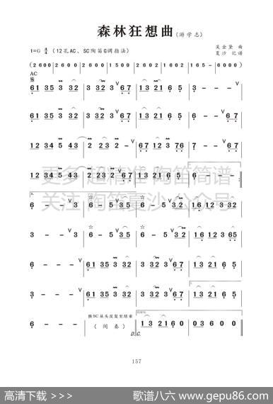 森林狂想曲 - 吴金黛|吴金黛