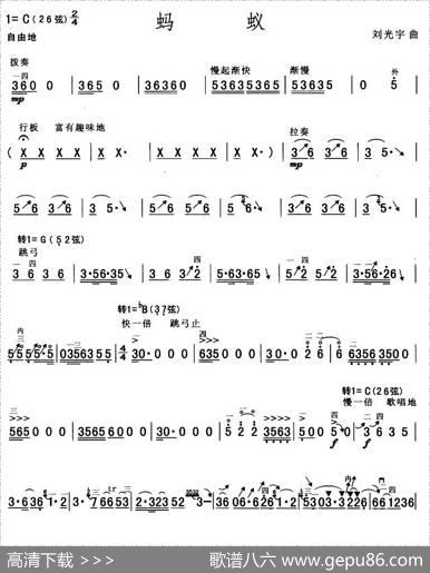 蚂蚁|刘光宇