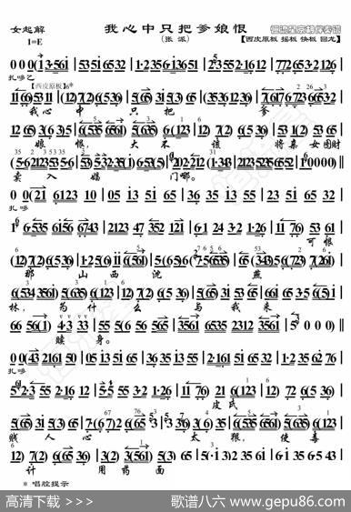 女起解·我心中只把爹娘恨（京胡伴奏谱） - 暂无|恒流星制谱