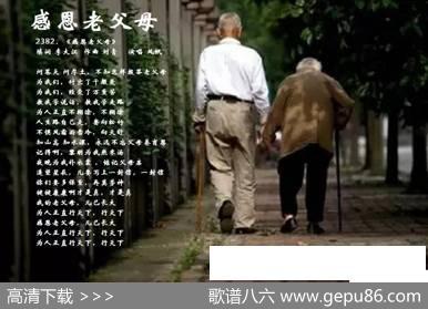 感恩老父母 - 李大江填词|刘青