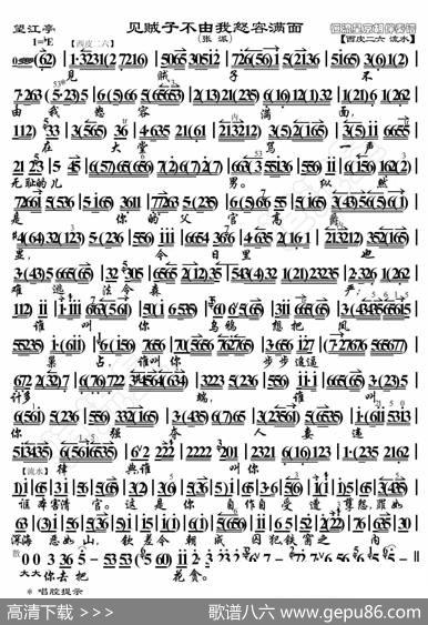 望江亭·见贼子不由我怒容满面（京胡伴奏谱） - 暂无|恒流星制谱
