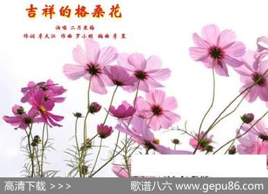 吉祥的格桑花 - 李大江|罗小明