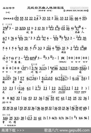 桑园寄子·见坟台不由人珠泪滚滚（京胡伴奏谱） - 暂无|恒流星制谱