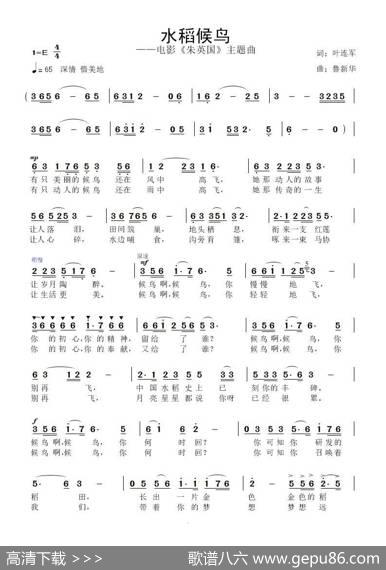 水稻候鸟 - 叶连军|鲁新华