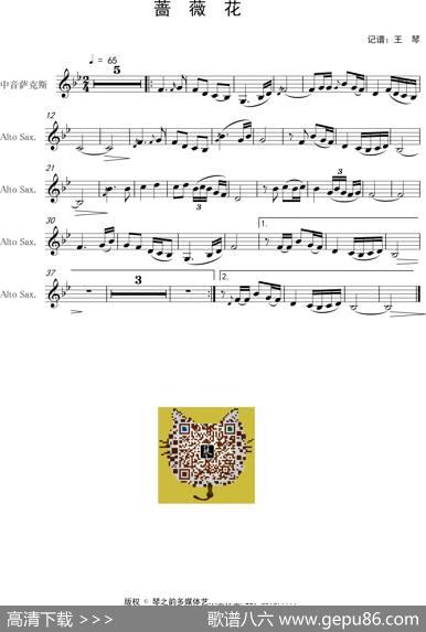 蔷薇花（韩）