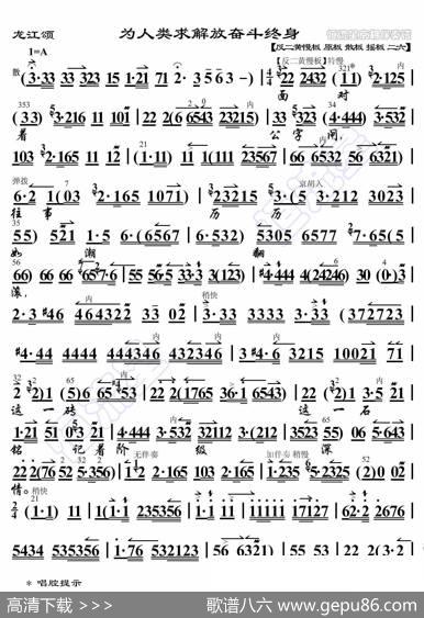 龙江颂·为人类求解放奋斗终身（京胡伴奏谱） - 暂无|恒流星制谱