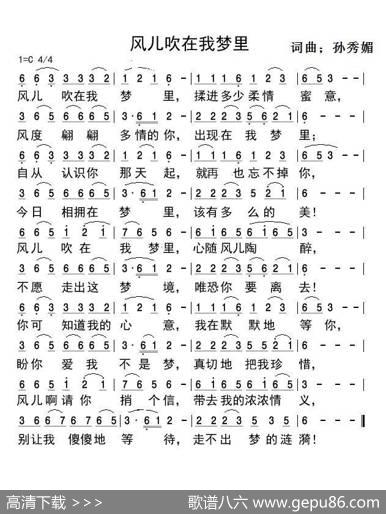 风儿吹在我梦里 - 孙秀媚|孙秀媚