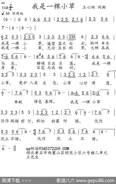 我是一棵小草 - 王心田|王心田