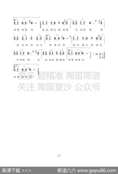 饿狼传说 - 刘诺生|刘诺生