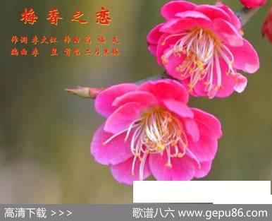 梅香之恋 - 李大江|高福友