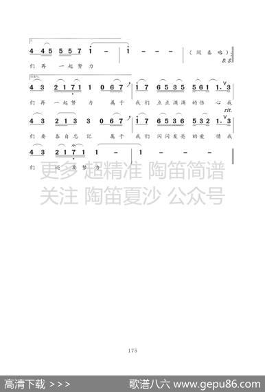 属于 - 陈没|鸦片丹