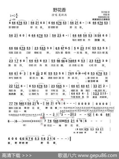 野花香 - 东方骏|老猫