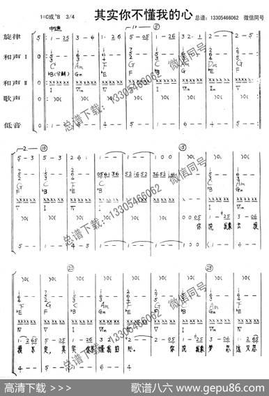 其实你不懂我的心（乐队总谱）