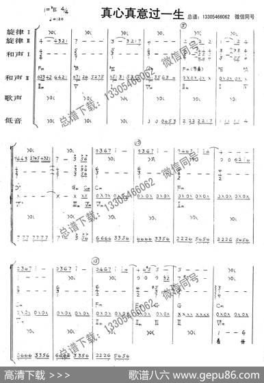 真心真意过一生（乐队总谱）