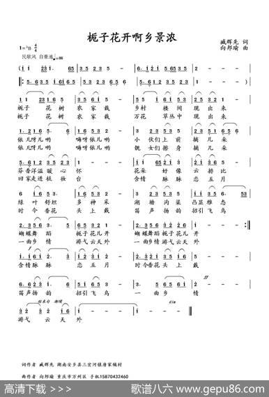 栀子花开啊乡景浓 - 臧辉先|向邦瑜
