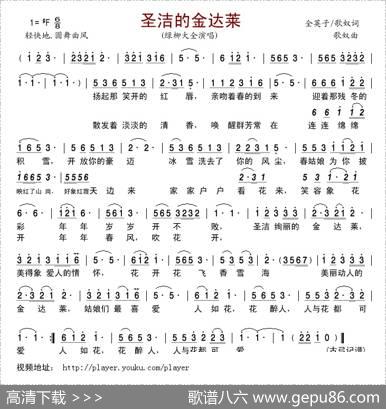 圣洁的金达莱