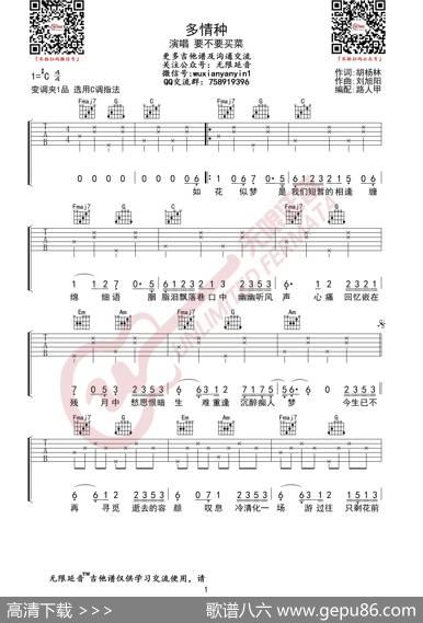 要不要买菜多情种吉他谱（无限延音编配）