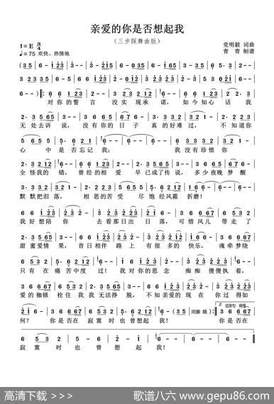 《亲爱的你是否想起我》三步踩舞曲版 - 党明毅|党明毅