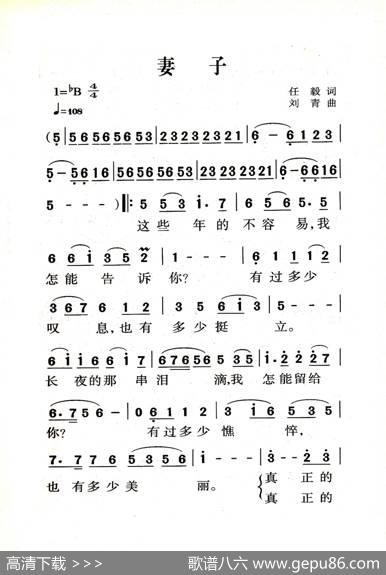 妻子（大字老人适用） - 任毅|刘青