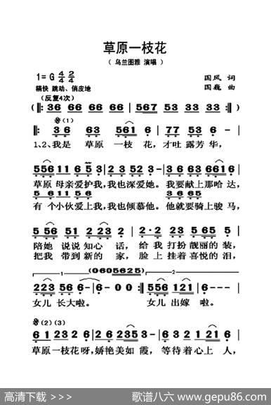 草原一枝花（大字老人适用） - 国风|国巍